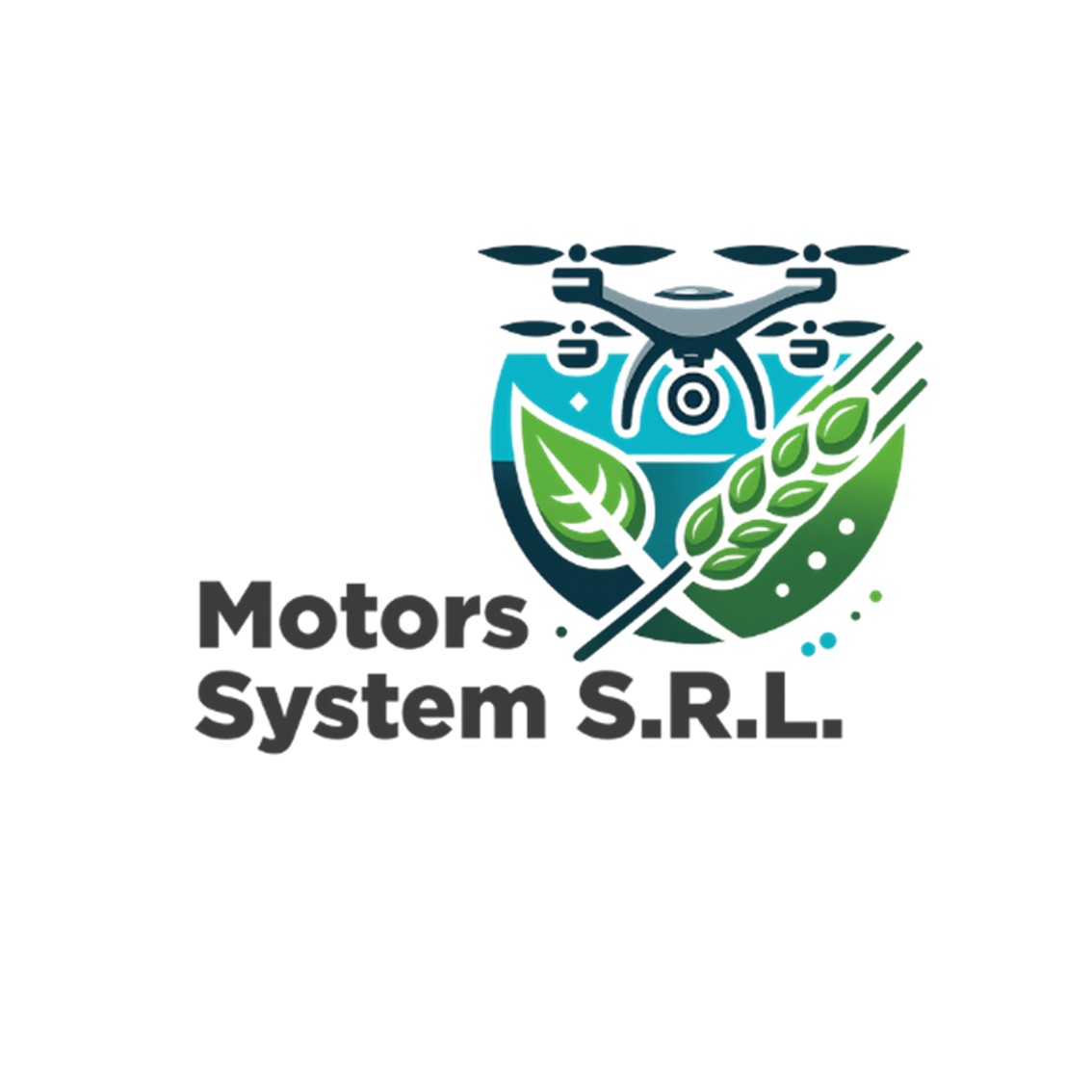 AVR Dealer_Motors System SRL